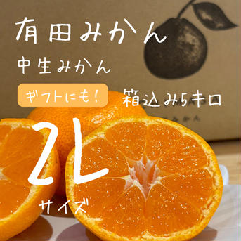 【完熟中生みかん】有田みかん★ギフトにも！5キロ 箱込み5キロ　2Lサイズ 果物/温州みかん通販