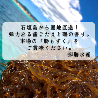 沖縄県石垣島産 (塩もずく1kg×3/サイズ:大/クール便送料込み ｜ 魚介類