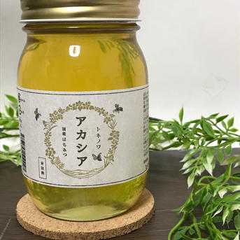 （送料シェア200円） トネノワ　アカシア600ml×2本セット 600ml×2本（アカシア×2本） はちみつ/はちみつ通販