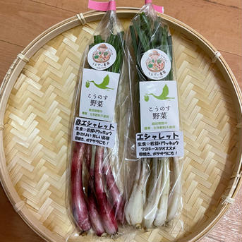 土付きエシャレット200g 農薬・化学肥料不使用【鮮度保持】 白200g 野菜/その他野菜通販