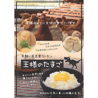 平飼い名古屋コーチン【王様のたまご】90個（81個+破卵補償分9個含み