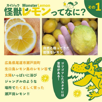 怪獣レモン 6玉 果物/香酸柑橘(ライム・レモン等)通販