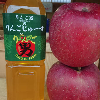 青森県産りんごじゅーす【王林】味 900ml 6本入り 900ml 6本入り 飲料/ジュース通販