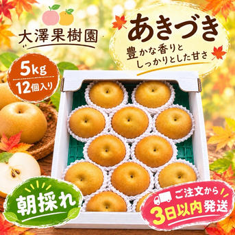 あきづき　秋月　梨　5キロ　8〜12玉　選べます あきづき梨 12個入 大玉 5キロ箱 秀品 ｜ 果物/梨 産直アウル 農家