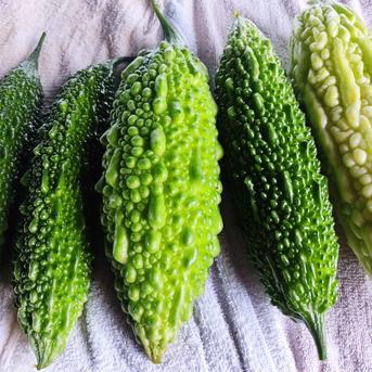 旬のお野菜セット（5～7品）クール便 旬のお野菜セット5~7品セット 野菜/野菜セット・詰め合わせ通販