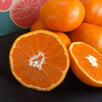 丹生系みかん』マルシオレンジFARM自慢の高糖度！有田みかん🍊 ｜ 果物