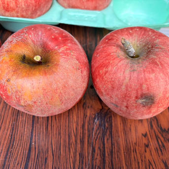 🍎【訳あり】サンふじ：ご家庭用に ｜ 果物/りんご 産直アウル 農家