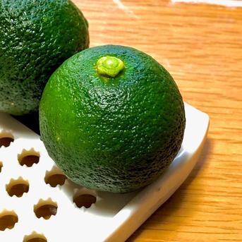 高知県産 ぶしゅかん 17-20玉 酢みかん ぶしゅかん17-20玉 果物/香酸柑橘(ライム・レモン等)通販