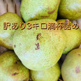 41346965_1