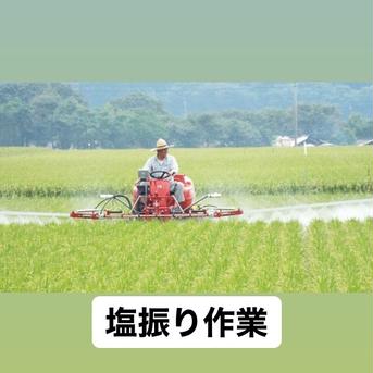 ヒノヒカリ白米5kを2袋のセット(肥料農薬を使用せず天然塩を使用した栽培） 10キロ 米・穀物/米/精米通販
