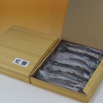 [虹鱒 ]ニジマス 12尾入 ×13箱セット【156尾】(19cmサイズ)冷凍 156尾/13㎏ 魚介類/川魚通販