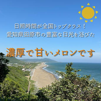 ルピアレッド　4L2玉 2玉3.2〜3.8kg 果物/メロン通販
