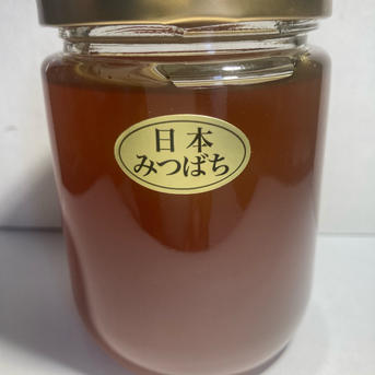 日本ミツバチの生蜂蜜 500g | はちみつ/はちみつ 産直アウル