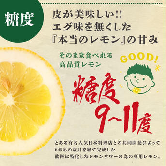 8/11新発売 怪獣レモンイカ天×12袋 60g×12袋 加工品/その他加工品通販