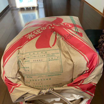 てんとうむしの新米10キログラム早くも値下げ！ 10キログラム 米・穀物/玄米通販