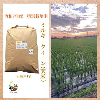 R7年 自然栽培米 2品種食べ比べセット20kg玄米 食品 R7年 自然栽培米 2品種食べ比べセット10kg（5kg×2）玄米