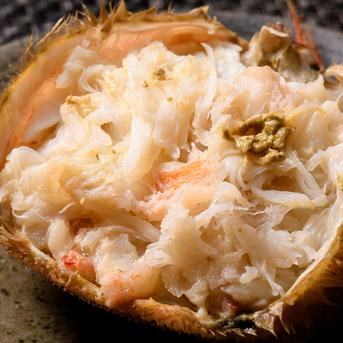 毛ガニ甲羅盛（小）約120ｇ×10個【カニみそ入り】 約120ｇ×10個 魚介類/カニ通販