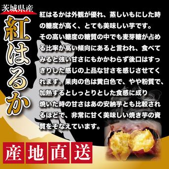 【茨城県産】　さつまいも　ありがとうの紅はるか　中サイズ【約20kg】 20kg（中サイズ） 野菜/さつまいも通販