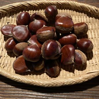 むき栗 250g 京都 無農薬栽培 | 果物/栗 産直アウル 農家から直接野菜