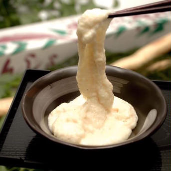 【熊本産】新芋！球磨川流域でたくましく育った自然薯 1本物800g(1-2本) 新米3合プレゼント中！ 800g前後(1〜2本) 野菜/長いも・山いも通販