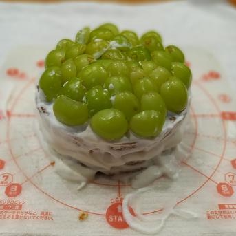 【カナダ人農園主の真心を込めた】シャインマスカット粒パック約0.9ｋｇ（３パック）ご家庭用（2024年9月29日頃～順次発送予定） シャインマスカット粒パック０．９ｋｇ（3パック） 果物/ぶどう通販