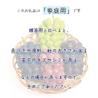 4M-2家 花笑み農園 岡山『ぶどう4種MIX』（シャイン＋厳選3種）2kg