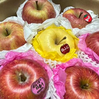 ギフトにも！りんごの「御花箱」約3kg箱8〜10玉 約3kg箱　8〜10玉 果物/りんご通販