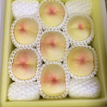 【贈答用】清水白桃 2kg 果物/もも通販