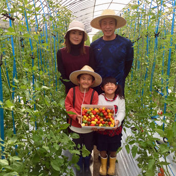 サザキ農園の『プラム型ミニトマト』ミックスセット1.5kg 1.5kg 野菜/トマト通販