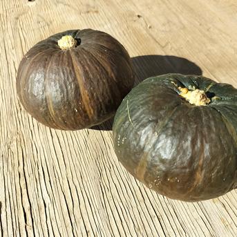 有機 坊ちゃんカボチャ　約1.5kg（1個160~300g位） 1.5kg 野菜/かぼちゃ通販