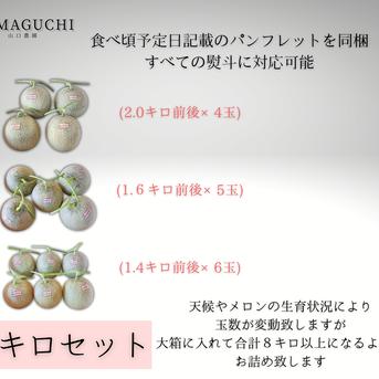 ギフト専門農家から【北海道メロン】 大箱 8キロ ｜ 果物/メロン 産直
