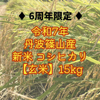 6周年限定】【玄米】新米 令和7年丹波篠山産コシヒカリ 15kg ｜ 米 