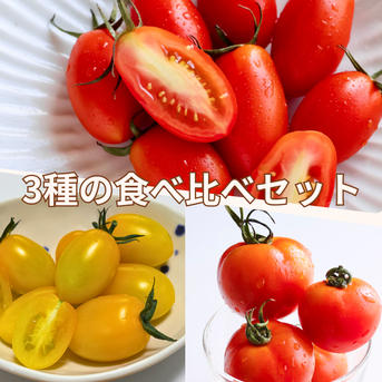 とまほっぺ】ミニトマト3種食べ比べセット｜愛媛・久万高原直送