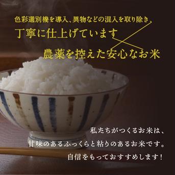 【一等米】令和4年 多古米コシヒカリ（精米）5kg 5kg 米・穀物/米/精米通販