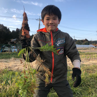 【農薬化学肥料不使用】葉付き人参15kg 葉付き人参15kg 野菜/人参通販