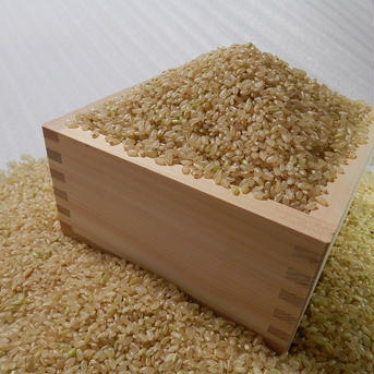 【送料込み】令和2年度産　あきたこまち　岩手県二戸市 10Kg 米・穀物/米/精米通販