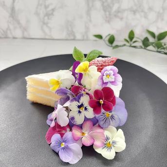 常温配送》エディブルフラワー（食用花） ビオラ20輪 ｜ その他/食用花