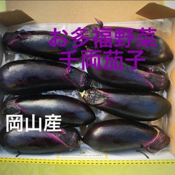 お試し🍆お多福野菜千両茄子 500g 野菜/茄子通販