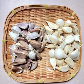 味くらべ！】 ピンク＆ホワイト バラにんにく400g 北海道産 農薬不使用 