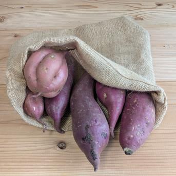 北海道産 さつまいも食べ比べセット8kg ｜ 野菜/さつまいも 産直