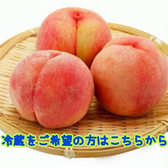 福島県産もも『あかつき又はまどか』クール便発送希望の方はコチラから もも 果物/もも通販