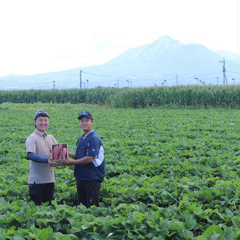 【農家直送】さつまいも　シルクスイート　宮崎県産5kg 5kg（箱込み） 野菜/さつまいも通販