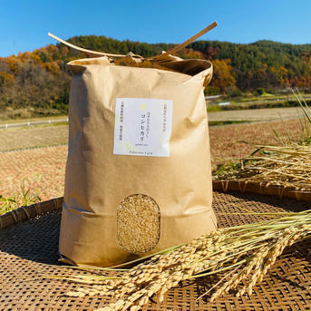 無農薬天日干しコシヒカリ白米10キロ | 米・穀物/米/精米 産直アウル