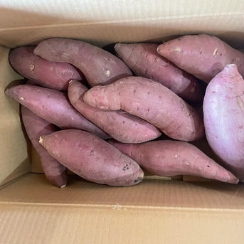 熟成　大きい紅はるか　5キロ（訳あり） 5キロ 野菜/さつまいも通販