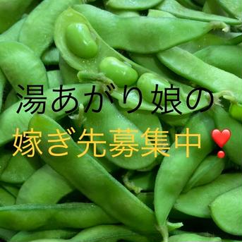 湯あがり娘！枝豆〜まめ〜新潟の情報番組で紹介されました☆まず食べてみて☆【2kg】】 2kg（500g✖️4袋） 野菜/豆類通販