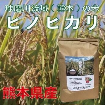 (熊本)【令和6年】<10月下旬発送予定>冷めても美味いご飯！球磨産 ヒノヒカリ 球磨川流域で育った米 5kg x 4 米・穀物/米/精米通販