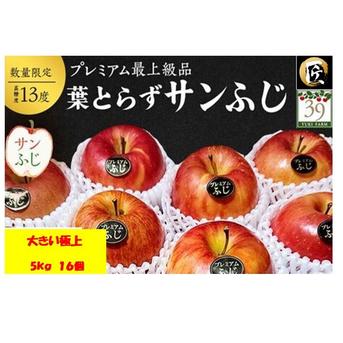 青森りんご 【大人気】【代々受け継がれた匠の味】大きめサイズ