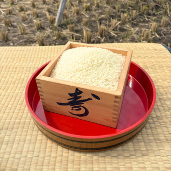 令和7年産 はぜ掛け新米コシヒカリ | 米・穀物/米/精米 産直アウル