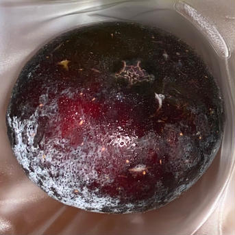 フランスの黒イチジク「ビオレソリエス」 1パック 6個   290〜400g 果物/いちじく通販