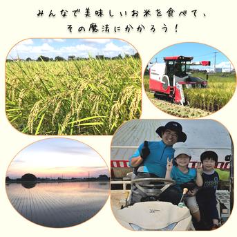 R6年産　特別栽培米　彩の国　コシヒカリ（玄米）　5㎏×2袋 10㎏ 米・穀物/玄米通販